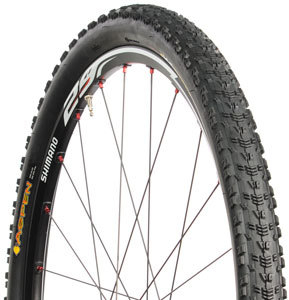 Покрышка Maxxis Aspen 29"