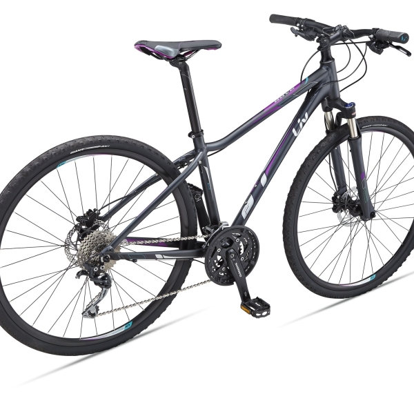Велосипед Giant Rove 1 Disc 700С