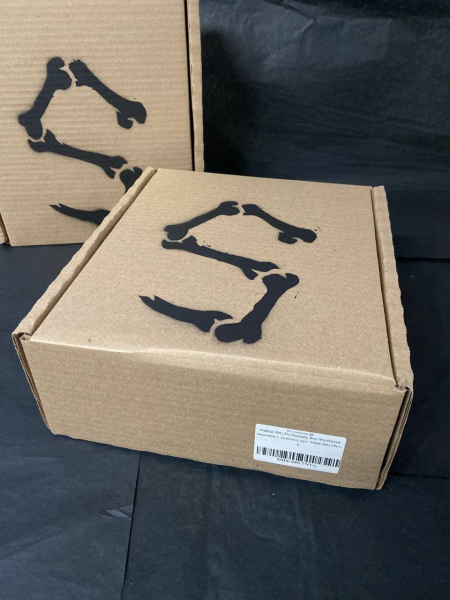 Набор SKELETON 180 Mystery Box